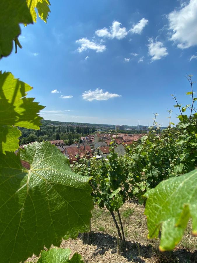 Ferienwohnung Wohlsein Фриккенхаузен-ам-Майн Экстерьер фото
